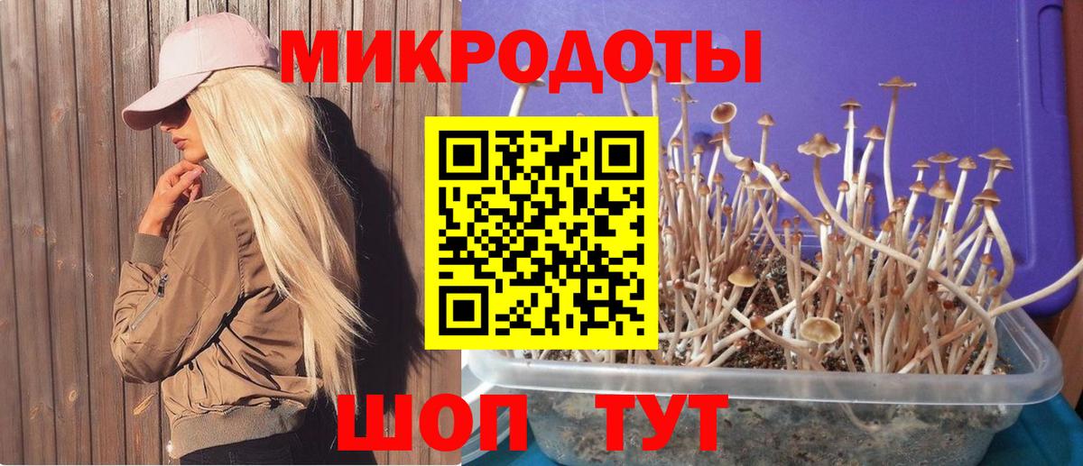 Галлюциногенные грибы Magic Shrooms Ярцево